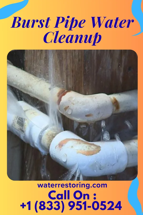 Burst Pipe Water Cleanup in Jefferson, PA