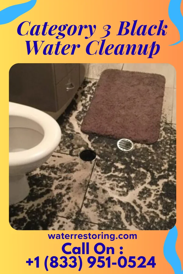 Category 3 Black Water Cleanup in Jefferson, PA