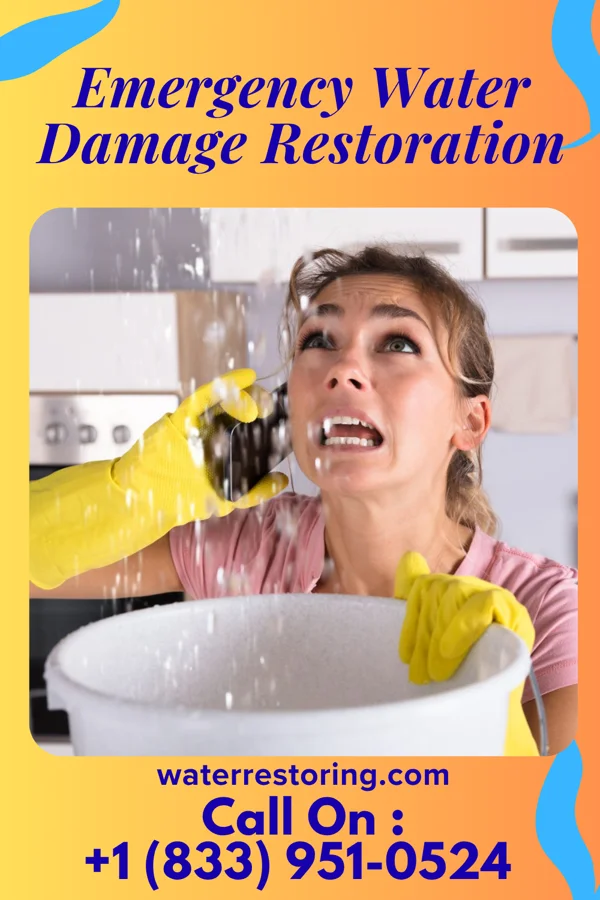 Emergency Water Damage Restoration in Jefferson, PA