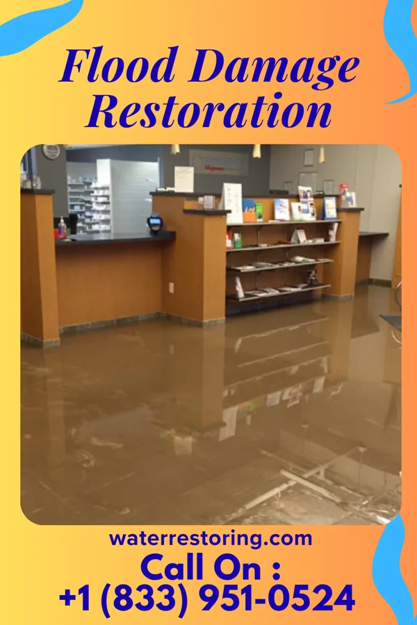Flood Damage Restoration in Jefferson, PA
