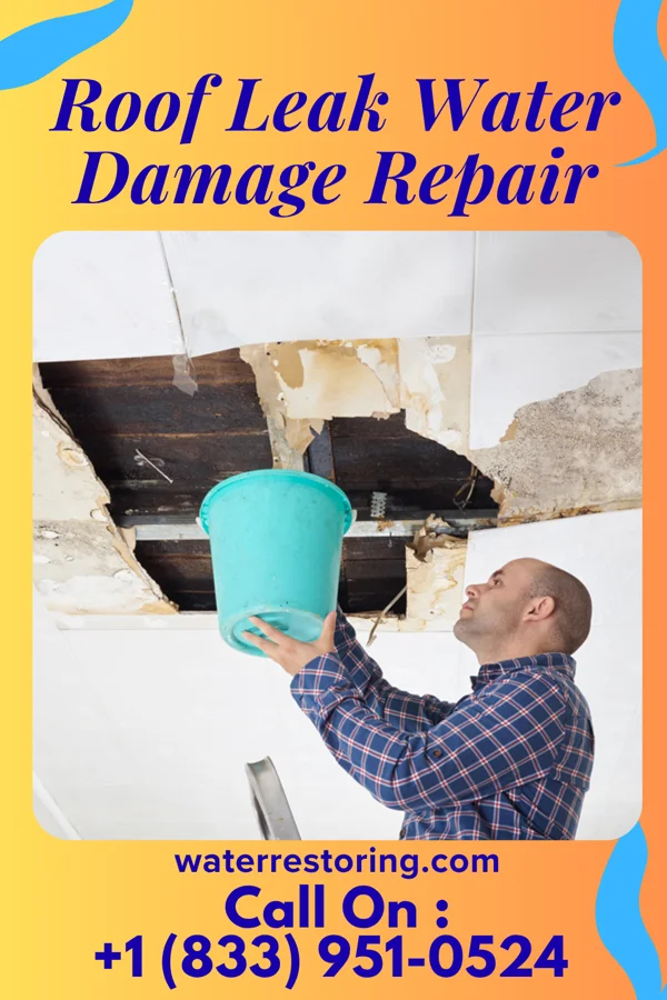 Roof Leak Water Damage Repair in Jefferson, PA