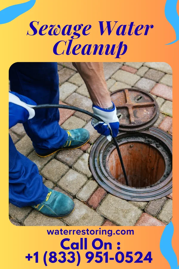 Sewage Water Cleanup in Jefferson, PA