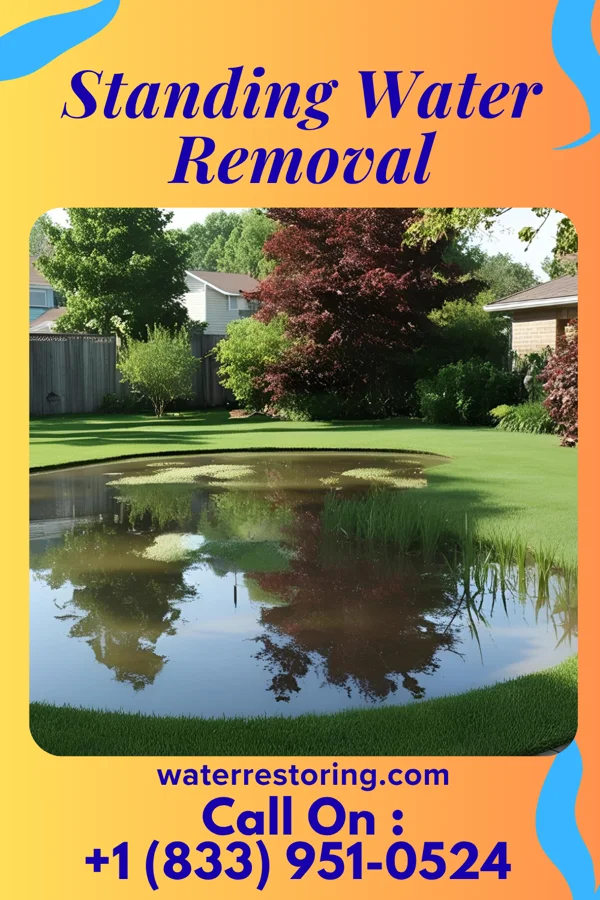 Standing Water Removal in Jefferson, PA